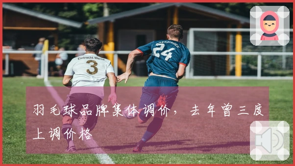 羽毛球品牌集体调价，去年曾三度上调价格