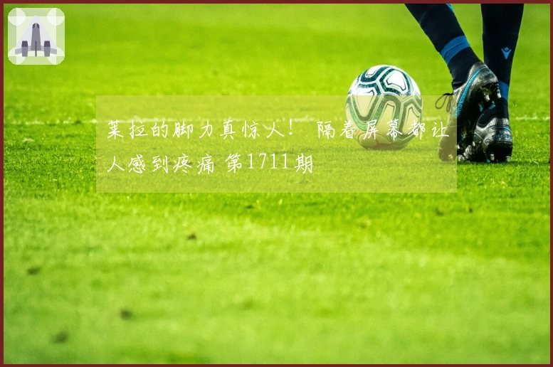 莱拉的脚力真惊人！ 隔着屏幕都让人感到疼痛 第1711期