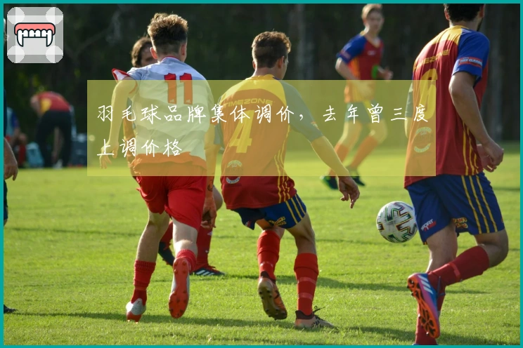 羽毛球品牌集体调价，去年曾三度上调价格